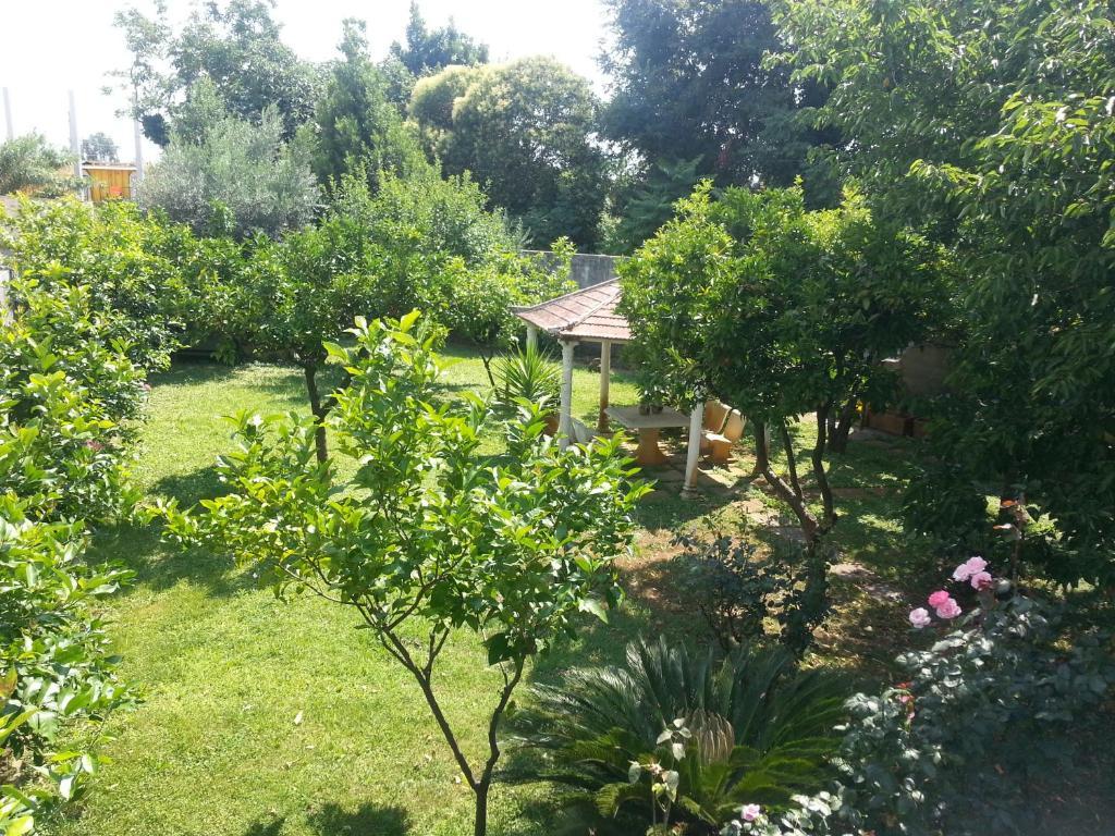 Hotel Capys Capua Buitenkant foto